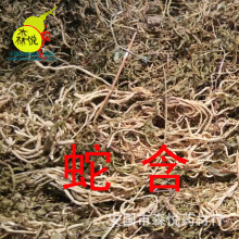 蛇含 冷背中药材 无硫蛇含委陵菜 蛇衔草 蛇含草 五皮草药用正品