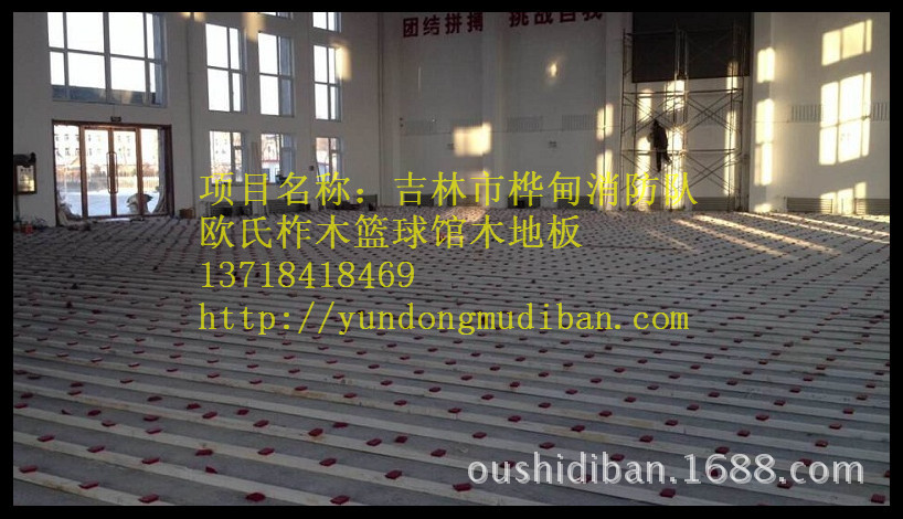 吉林市桦甸消防队_副本