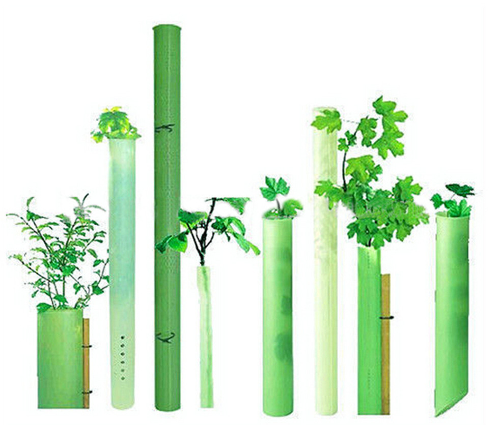 树苗保护罩_副本