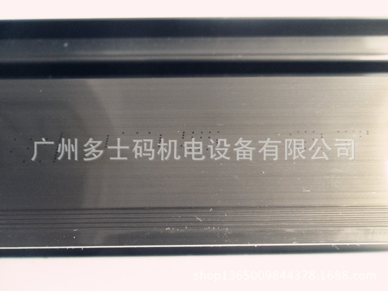 SAM_5576_副本