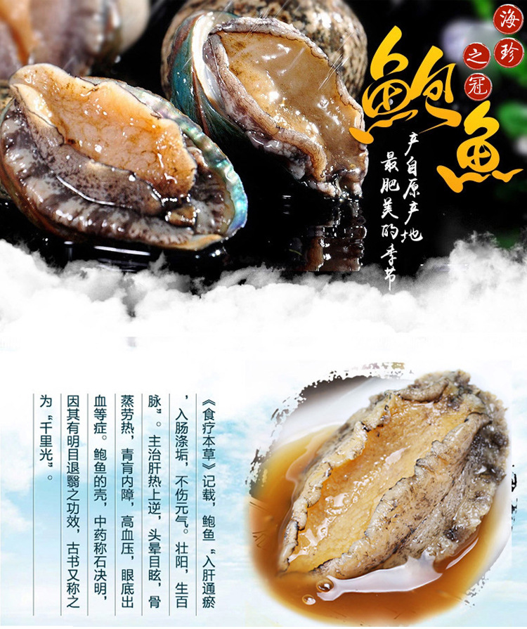 当天捕捞活鲍鱼 鲜活水产品3-4头精品大鲍鱼 新鲜鲍鱼