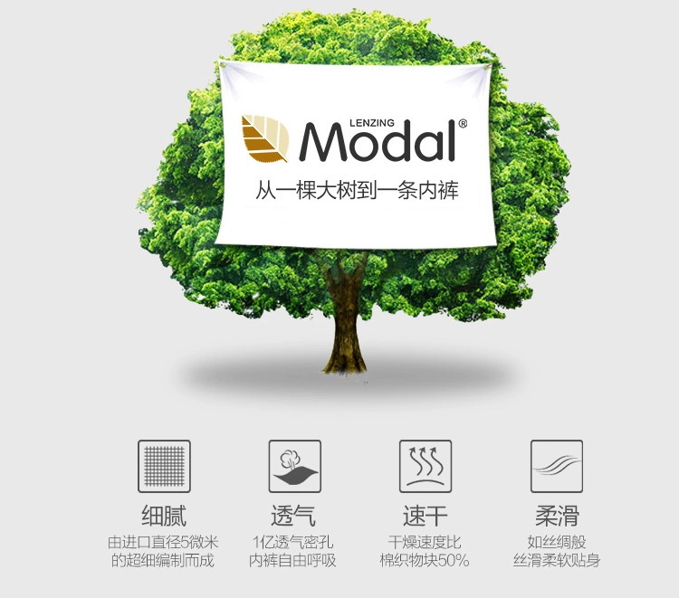 莫代尔三角裤-爆款_06