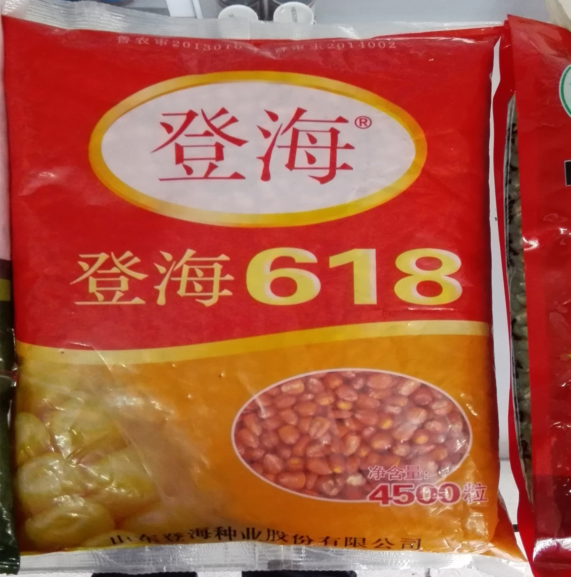 登海618 低价供应超高产籽粒直收玉米新品种