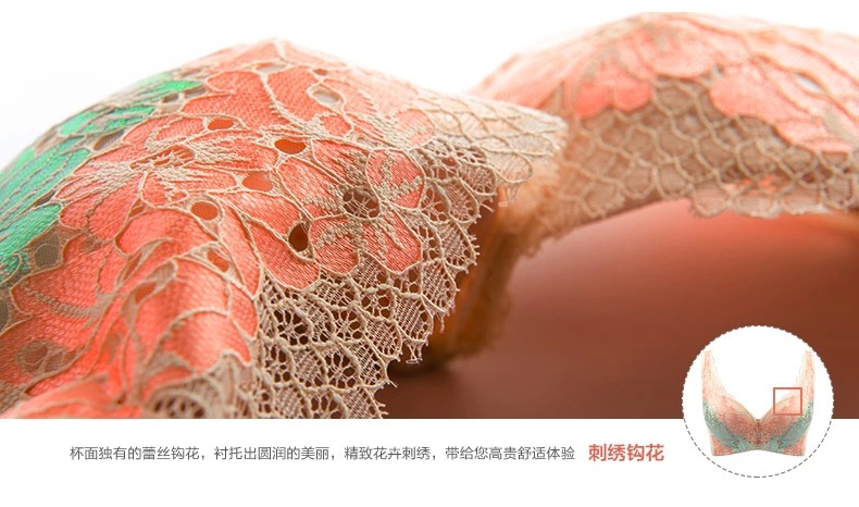 24.webp