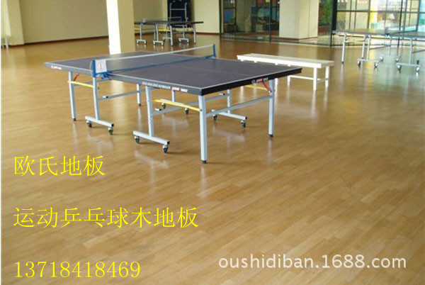 运动乒乓球木地板
