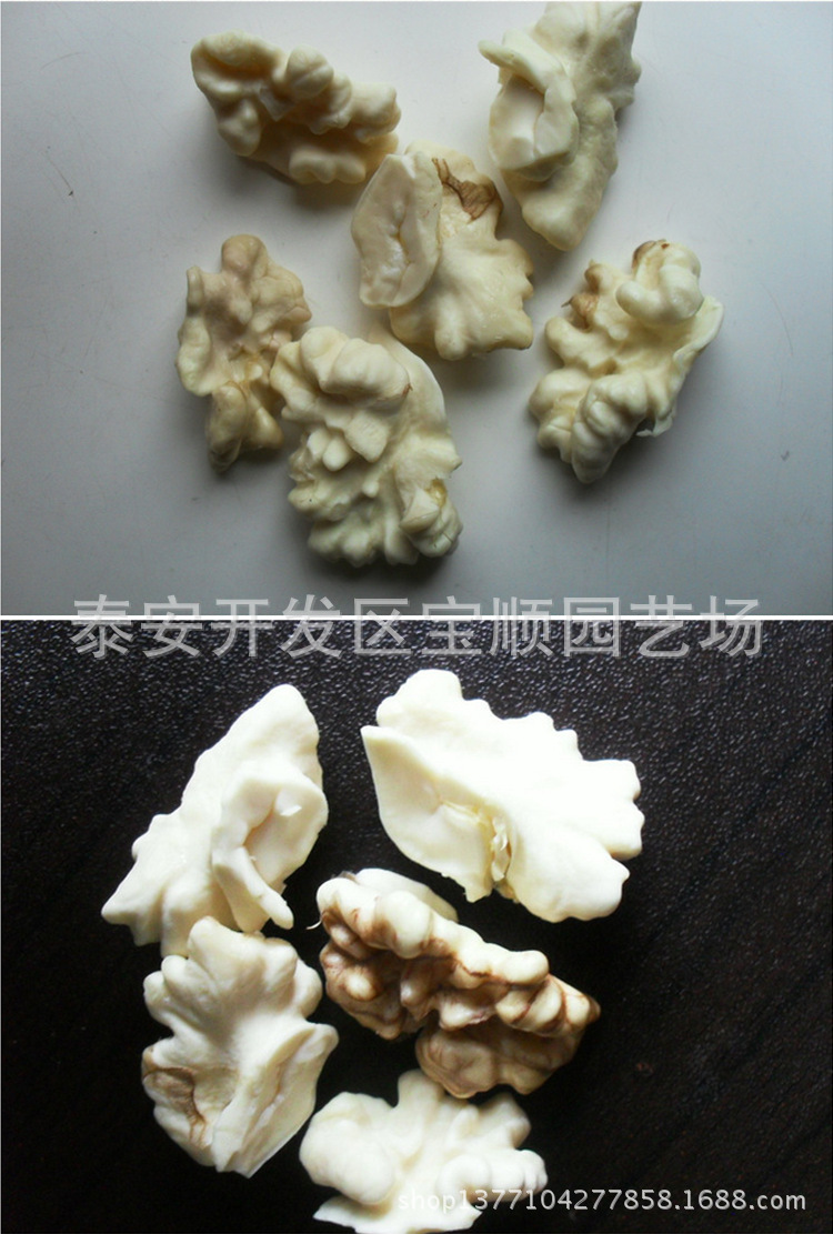 纸皮核桃_特价 新鲜青皮核桃 纸皮核桃 鲜 4500克 量大