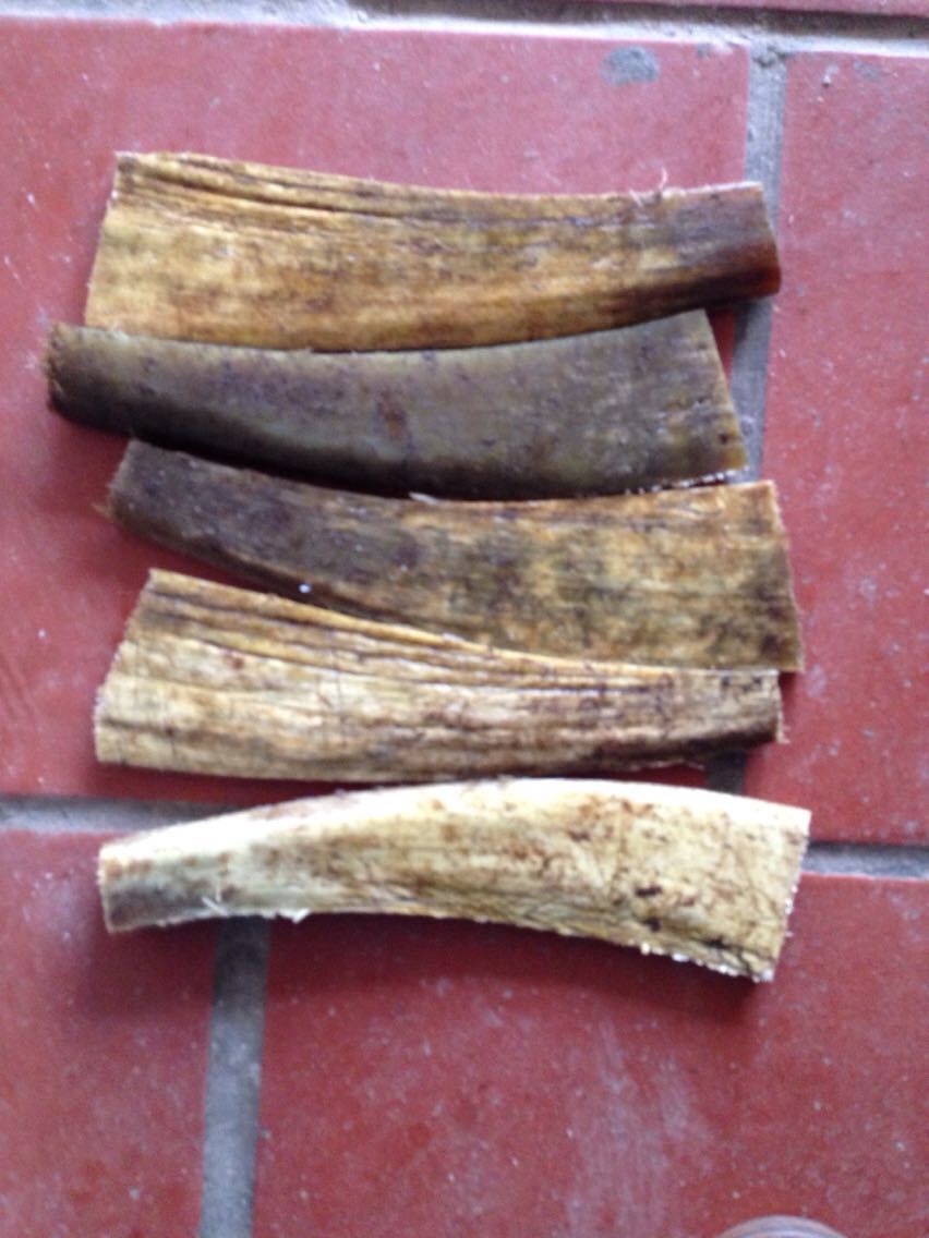 黄牛角梳子胚料 黄牛角镜框板 黑牛角梳子胚 牛角各种半成品