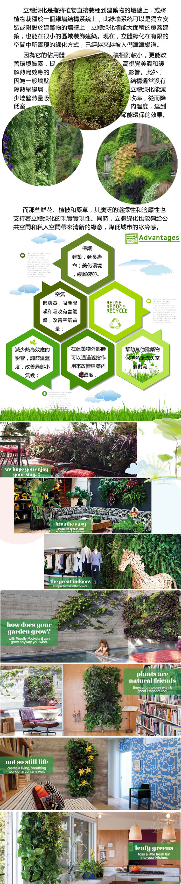 立体绿化,绿化墙,外墙绿化,屋顶绿化,垂直绿化