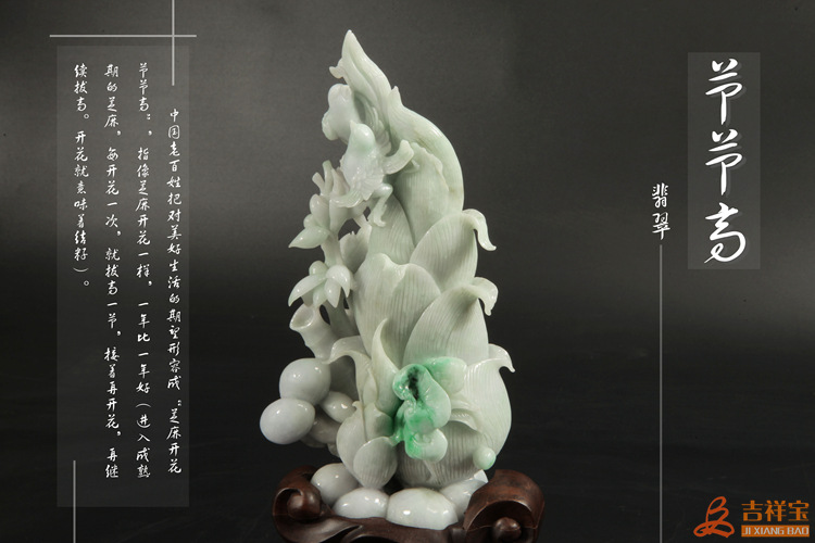 節(jié)節(jié)高 (1)