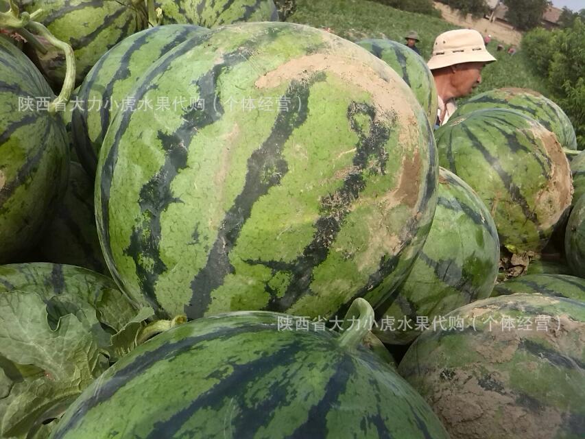 QQ图片20150119114551