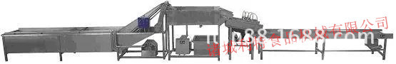 草莓清洗机.webp