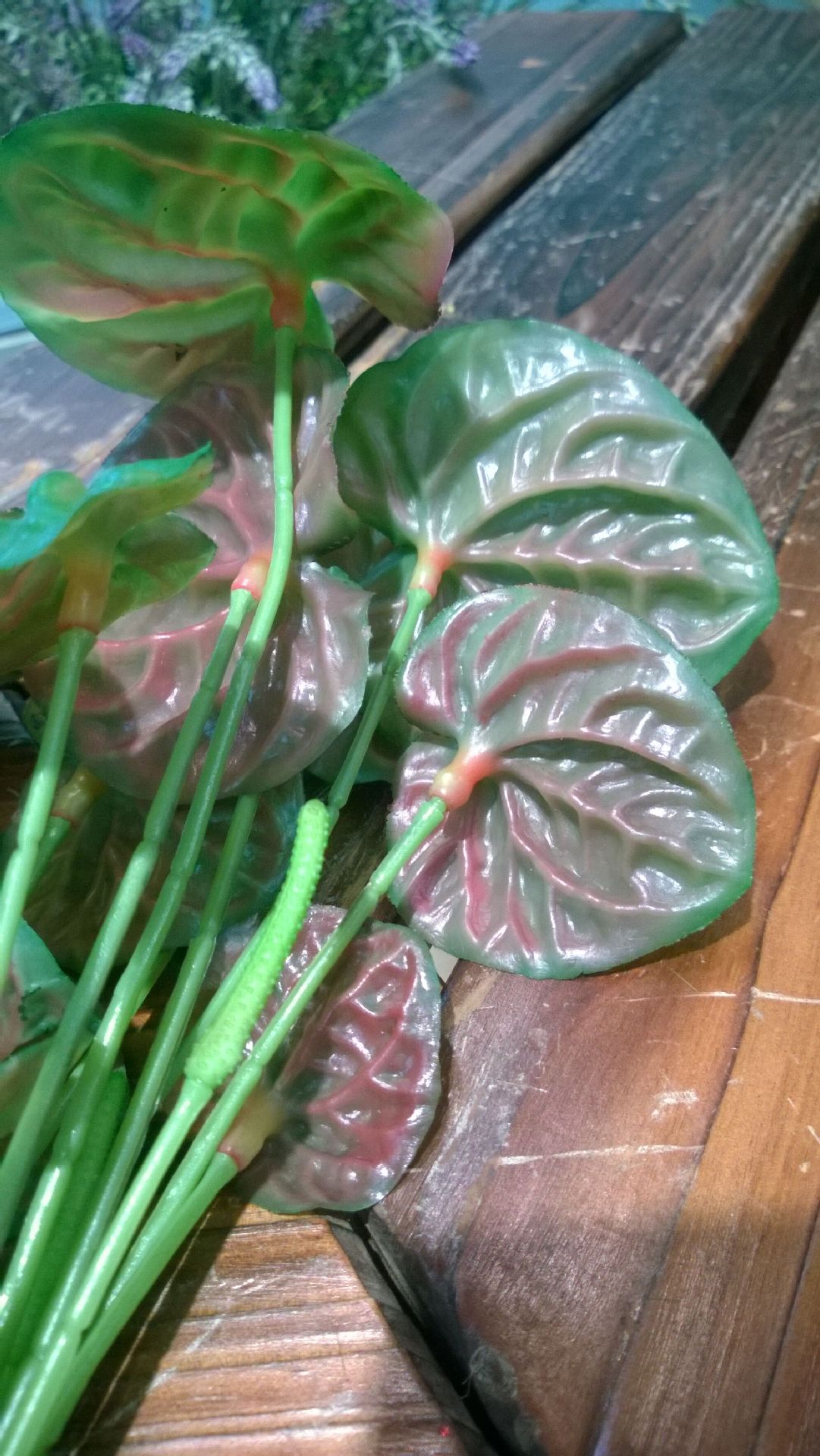 高仿真肉感浮萍_肉感浮萍 莲萍 地瓜叶 植物墙