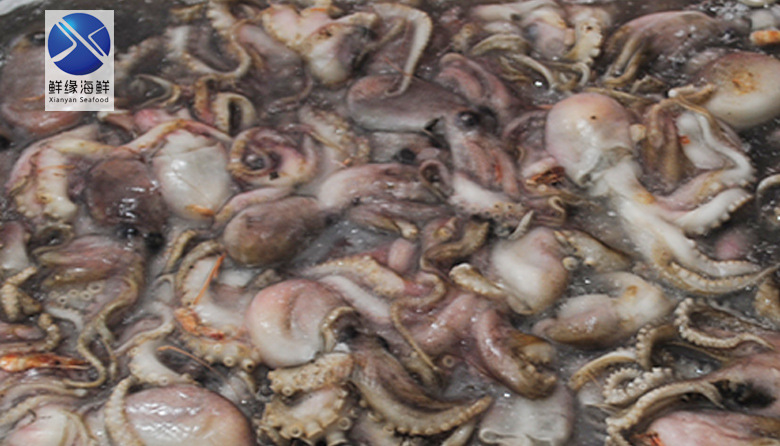 鲜缘 冷冻海鲜 野生 短脚 章鱼 鲜活海水产品批发 八爪鱼50-80g
