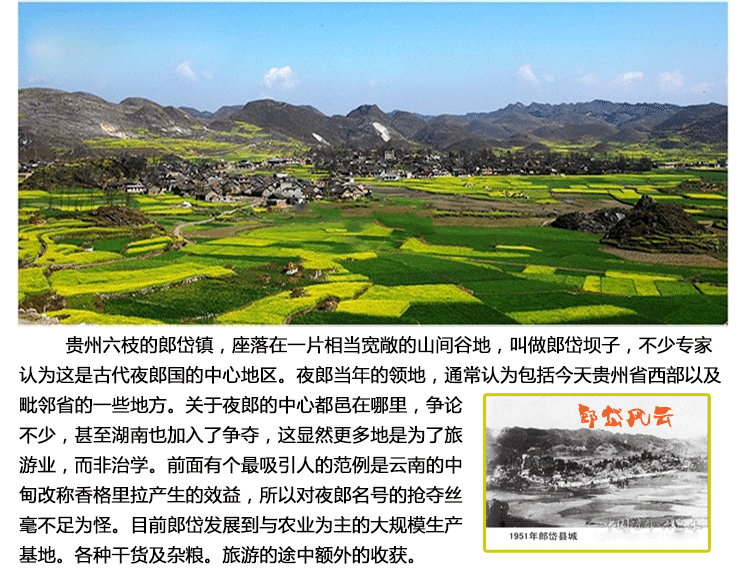 贵州特产郎岱糯米粑年货必备小吃农家传统手工工艺制作糯米食品