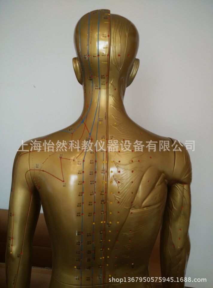 针灸铜人模型穴位铜人自然大178cm人体经络中医模型