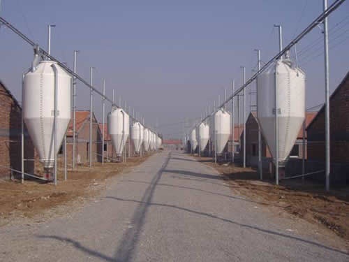 e24221371_1398ea2bc3eg85_blog