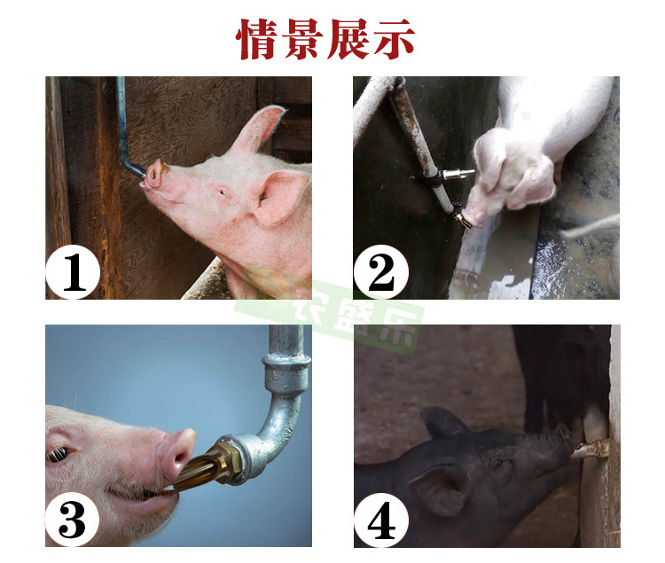 不锈钢饮水嘴_18