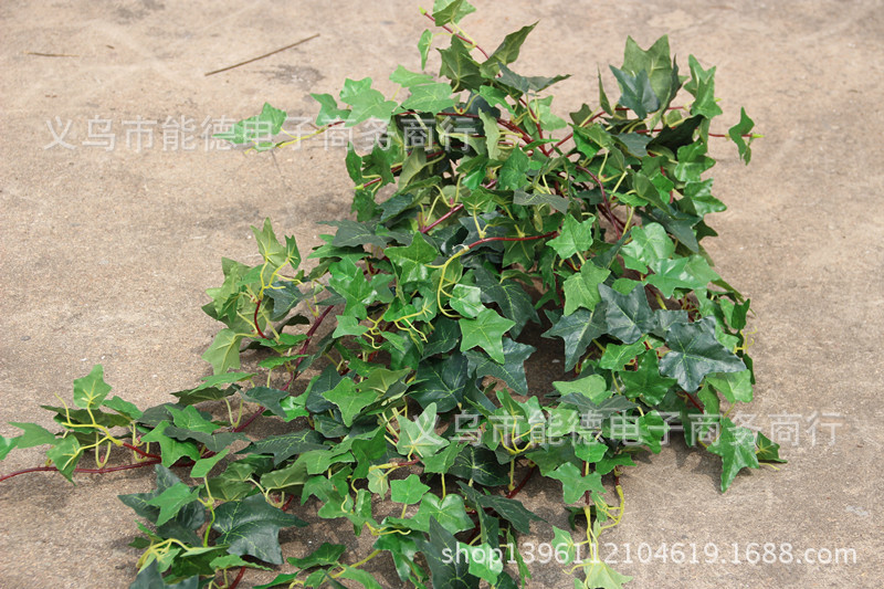 厂价直销 壁挂藤条 猪心叶藤 植物墙配材 万年青 仿真藤 垂挂装饰
