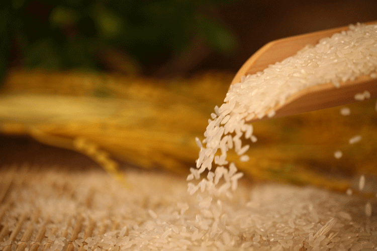 正宗纯正畈上稻花香10kg东北特产绿色大米 产地直销批发 品质上乘