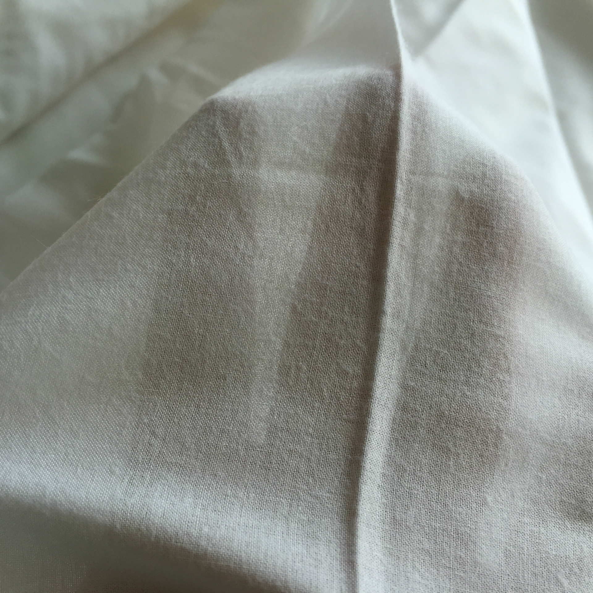 现货供应 60支漂白/本白全棉巴厘纱 春夏服装面料 服装体裁布料