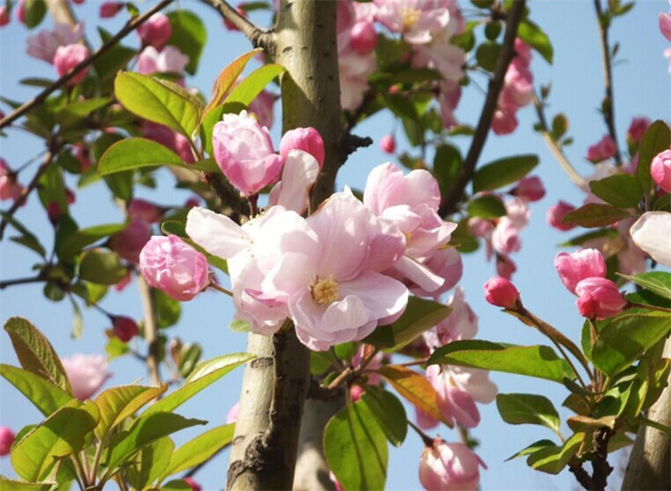 QQ图片20150207165022