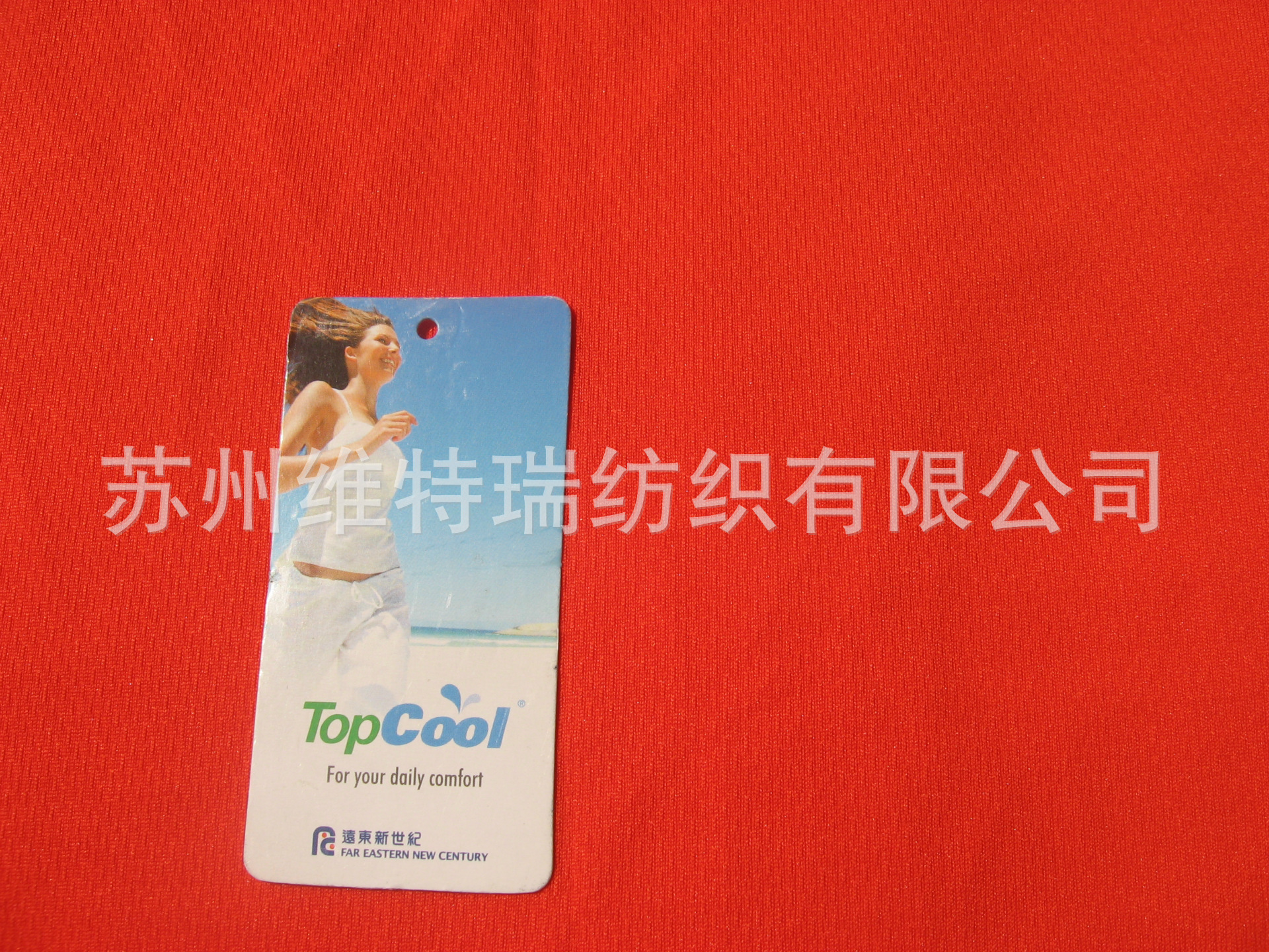 全涤双面鸟眼布网眼布topcool吸湿排汗功能性运动面料