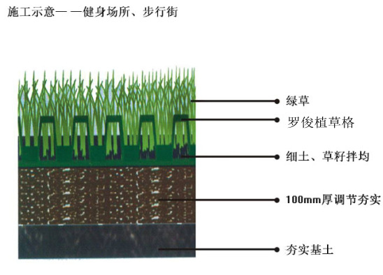 厂家直销 菱形植草格 塑料植草格 停车场 消防车专