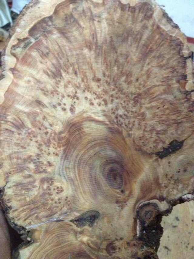 崖柏的具体功效