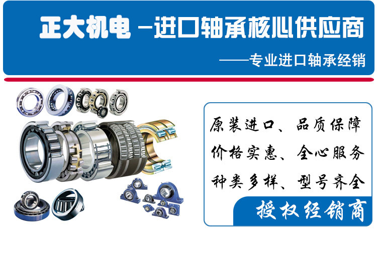 skf授权经销商供应6205zz轴承 进口skf6205z.