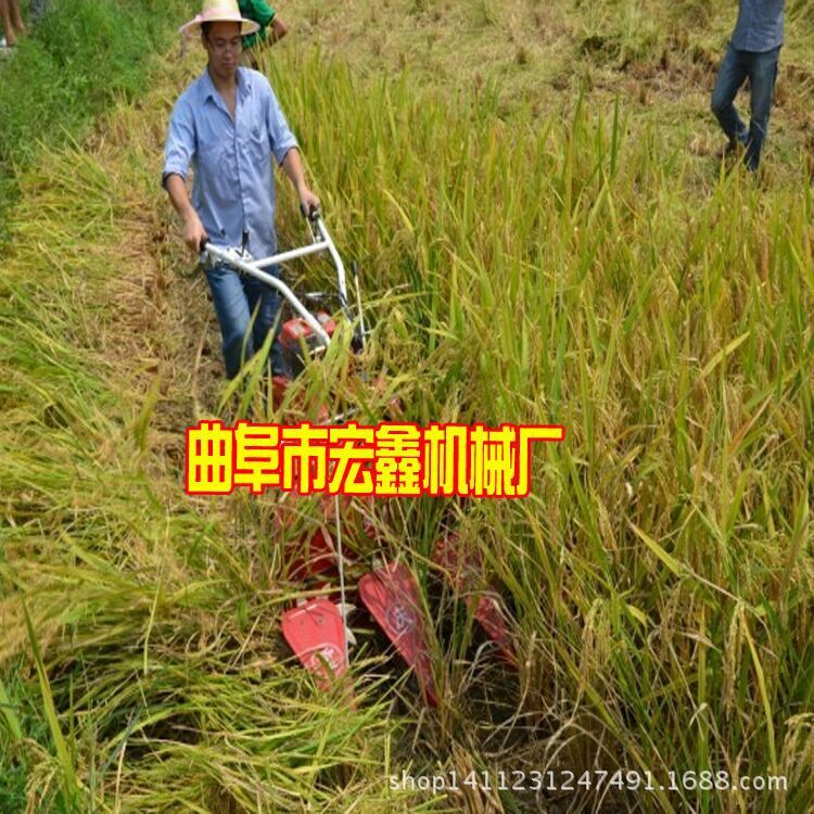 QQ图片20150708102727
