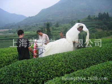 川崎双人采茶机 PHV100 双人采茶机