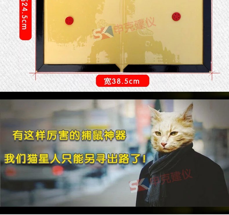 TB2MrJpaFXXXXXsXXXXXXXXXXXX-11