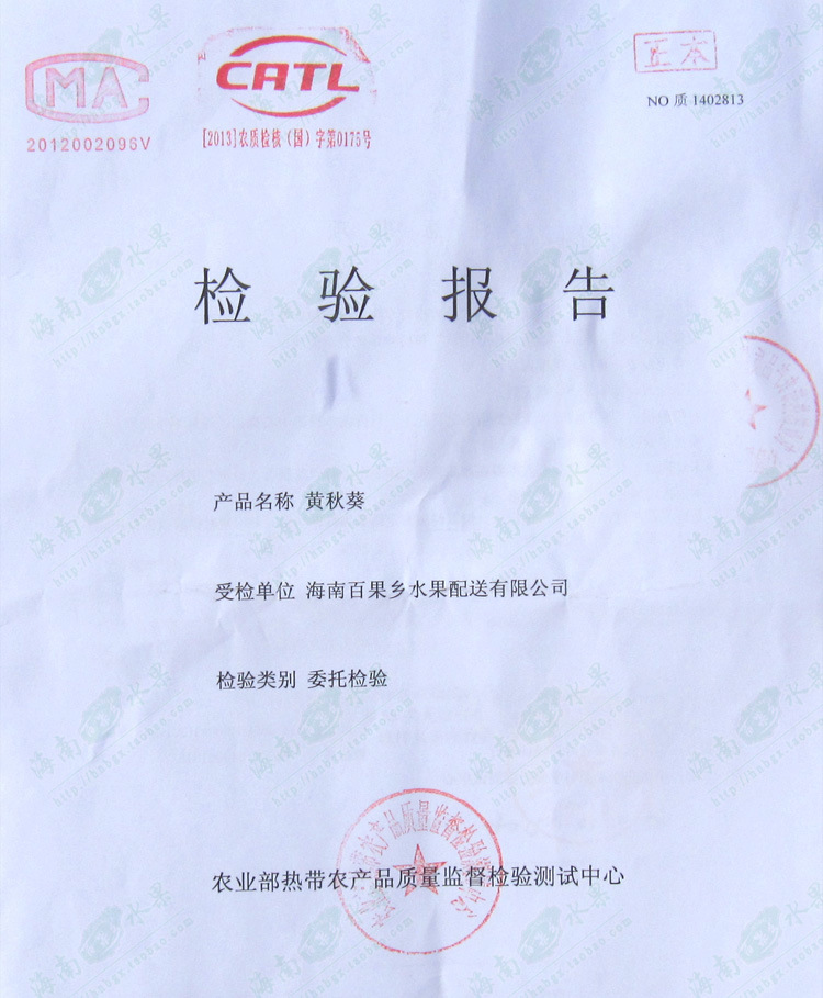 黄秋葵检测报告1