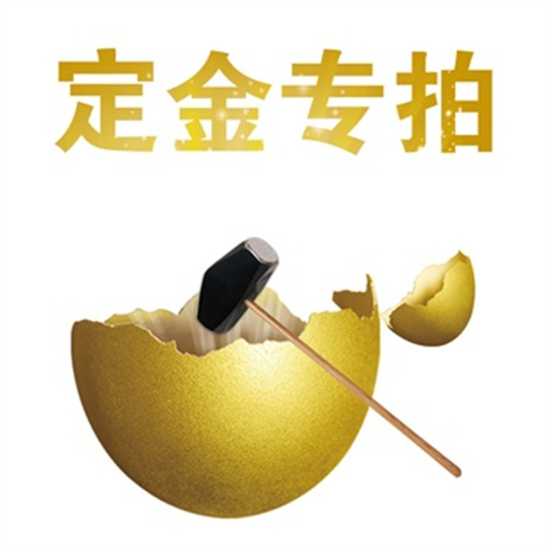 定金专拍_副本