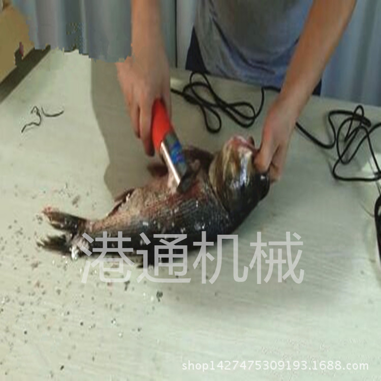 去鱼鳞器2