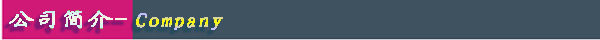 公司简介