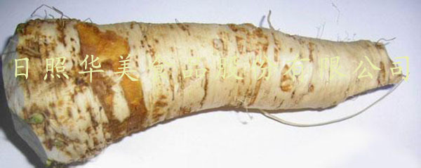 u=4243982621,3716173663&fm=23&