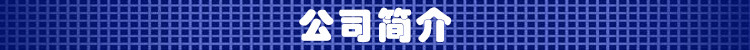 公司簡(jiǎn)介