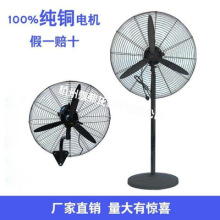 工業排風扇FS-650MM落地式電風扇/牛角扇/強力搖頭調速排風扇批發