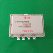 200*300*150防爆接線箱(隔爆型) 防爆端子箱 BH/3-20-F2
