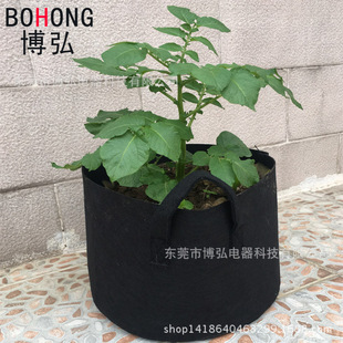 ֭hӺɫ͸NֲoֲQGrow Pots