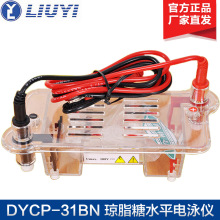 北京六一DYCP-31BN 瓊脂糖水平電泳儀 電泳槽