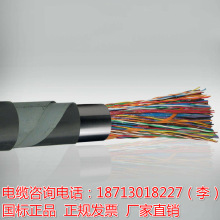 音頻電纜HYA HYAT 電話電纜|音頻電纜|市話電纜