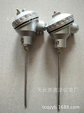 電廠化工廠配套設備管道熱電偶，熱電阻 WZP-230 WZP-231 PT100