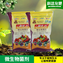 微生物菌劑活性有益菌 農用有機肥料黑色顆粒粉狀菌肥土壤調理劑