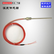 熱電阻 PT100溫度傳感器 A級溫度傳感器 進口芯片溫度傳感器