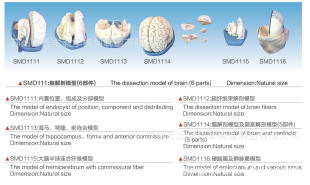 SMD1116ӲXĤo}]ģ