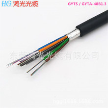 48芯 電信級室外主干光纜 48芯室外光纜 架空 管道光纜GYTS/GYTA