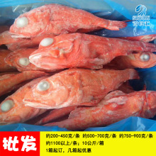 野生阿拉斯加紅龍魚鮶鮋炭烤海鮮批發
