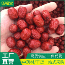 大量提供 新疆特產休閑食品若羌紅棗 棗子二級紅棗批發